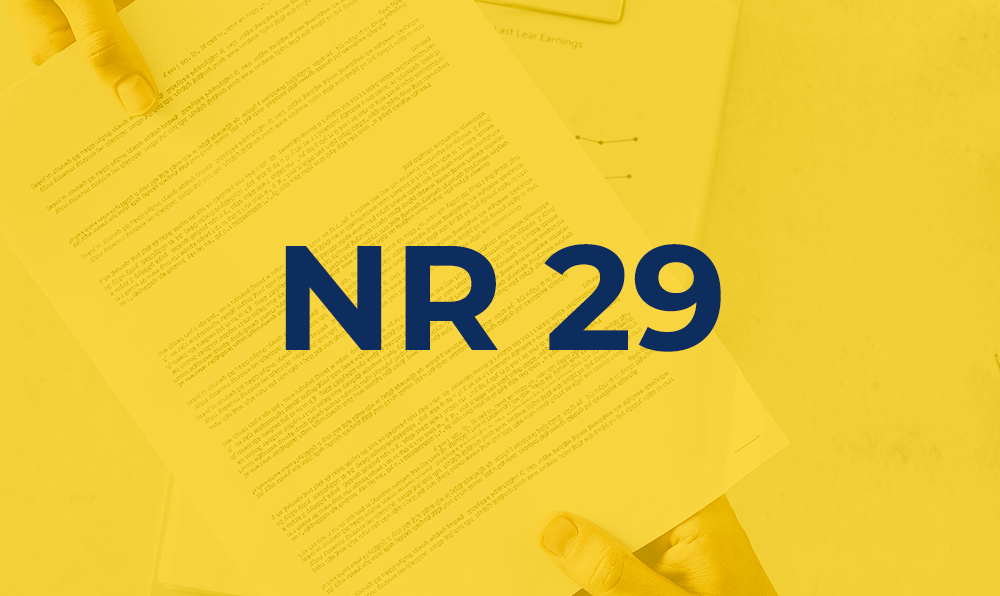 NR 29. Norma Regulamentadora de Segurança e Saúde no Trabalho Portuário